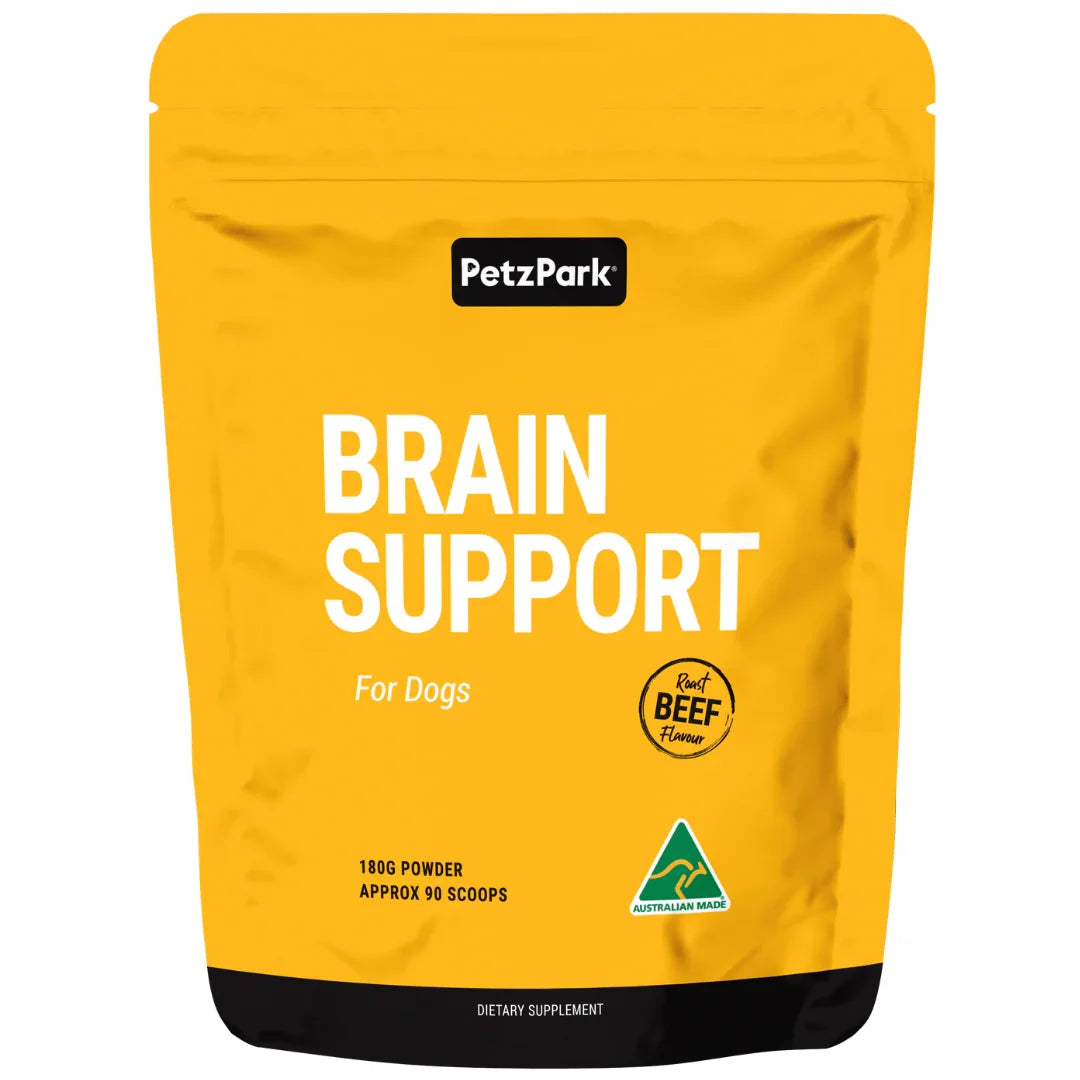 Brain Support