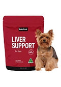 PetzPark – Liver Support, For Dogs, 90g Powder