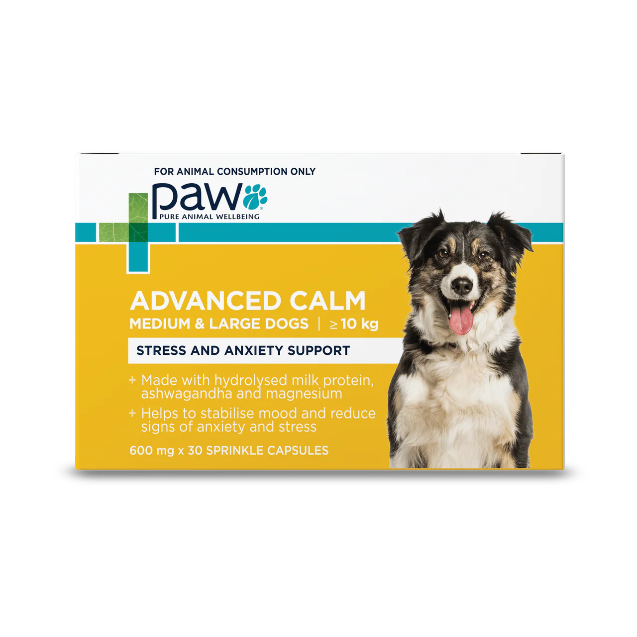 PAW – Advanced Calm (Small Dogs)