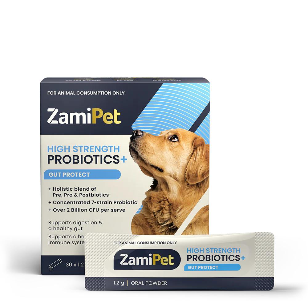 ZamiPet – High Strength Probiotics+ Gut Protect, 30 x 1.2g